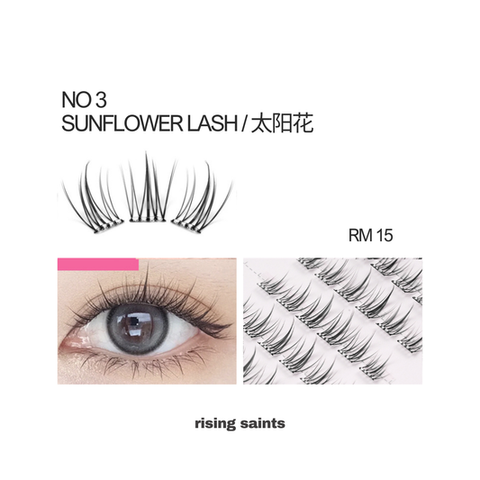 Glue-Free Lash ( 3 )